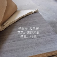 千年舟18多层板无边风影48张
