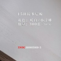 15拼接多层板暖白小浮雕300张26080509